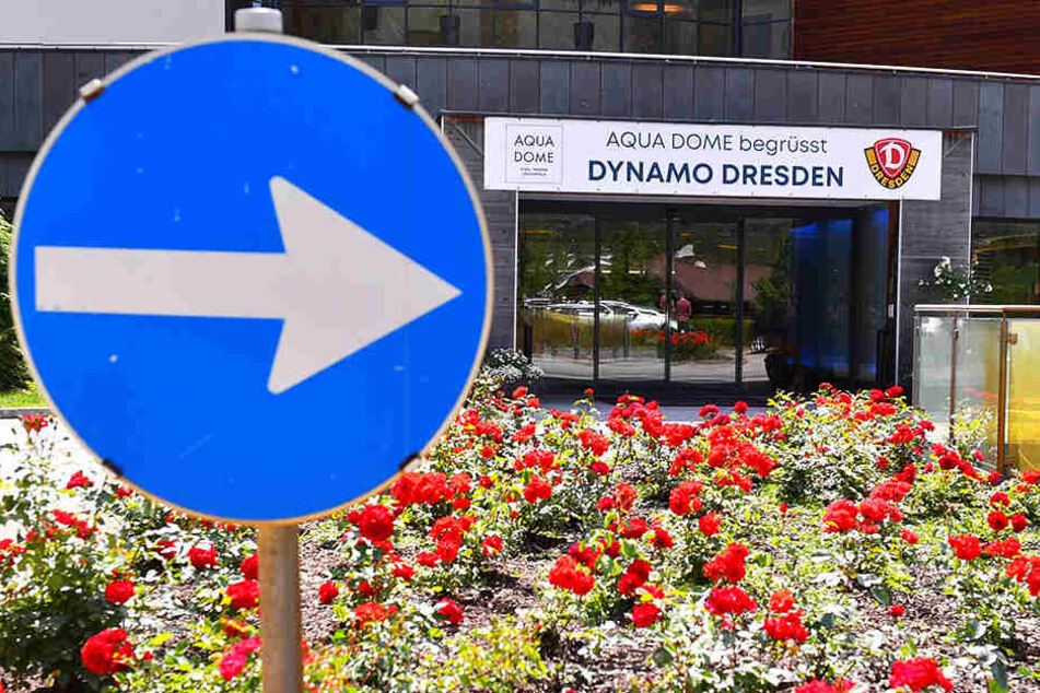 Da geht's lang! Der mit Blumen verschönte Eingang zu Dynamos Team-Hotel.