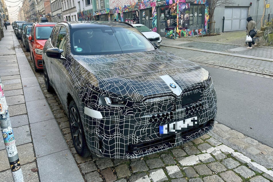 Einen Erlkönig in "freier Wildbahn" zu sehen, ist selten.