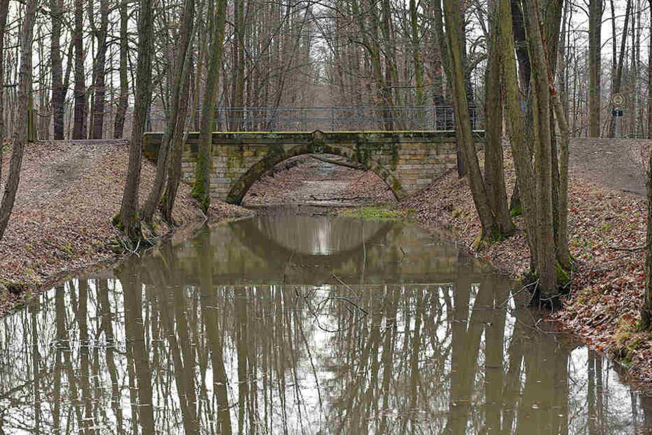 Der Kanalabschnitt im Wald ist noch verschlammt.