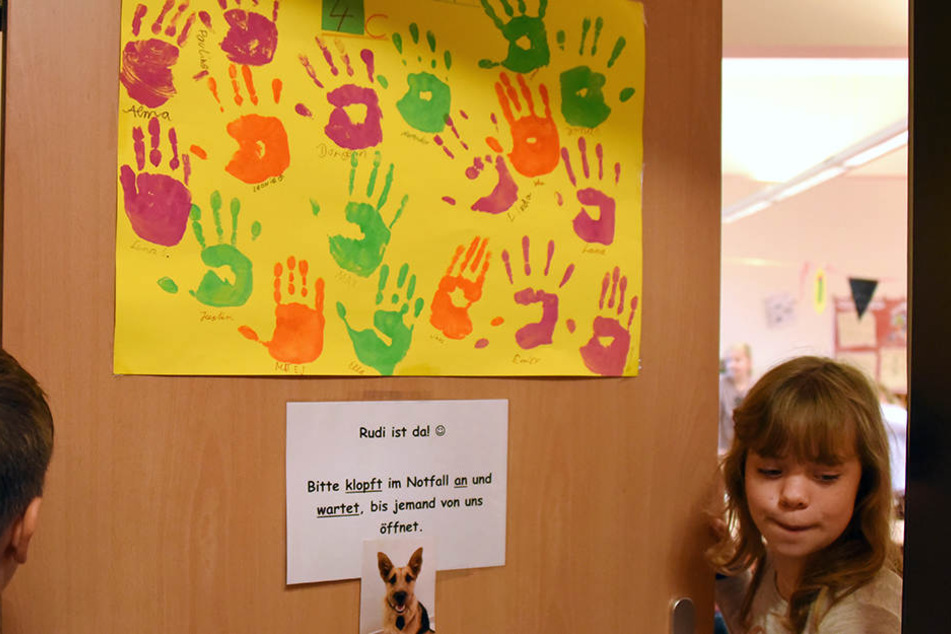 Immer mehr Pädagogen setzen Schulhunde ein.