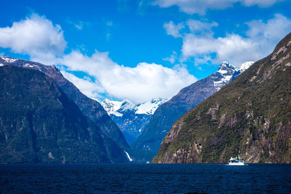 Der Zwischenfall passierte im Millford Sound, einem Fjord auf der neuseeländischen Südinsel.