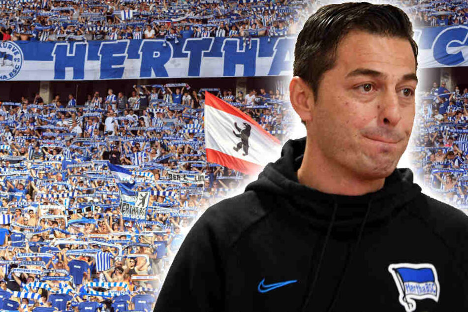 Ante Covic ist trotz der sportlichen Entwicklung beim blau-weißen Anhang sehr beliebt. (Bildmontage)