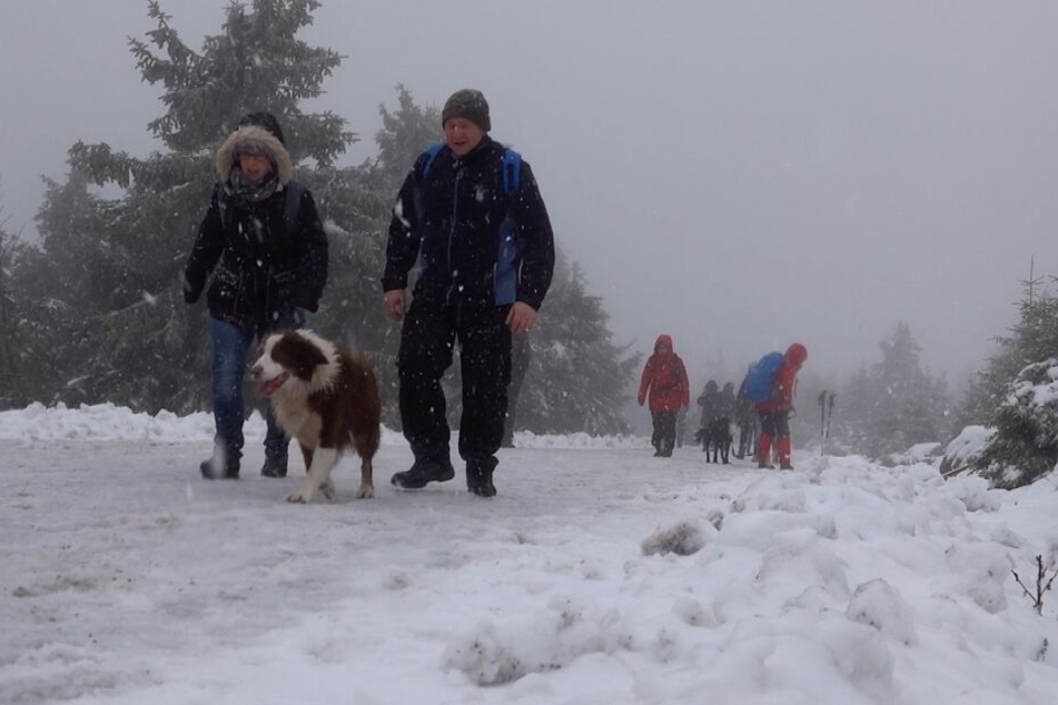 Bereits am ersten Weihnachtsfeiertag war Schnee auf dem Brocken gefallen. Zahlreiche Menschen strömten daraufhin auf den Berg.