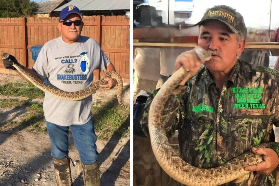 Schlangen-Fänger tritt mit Klapperschlangen auf: Durch Biss eines Reptils stirbt er