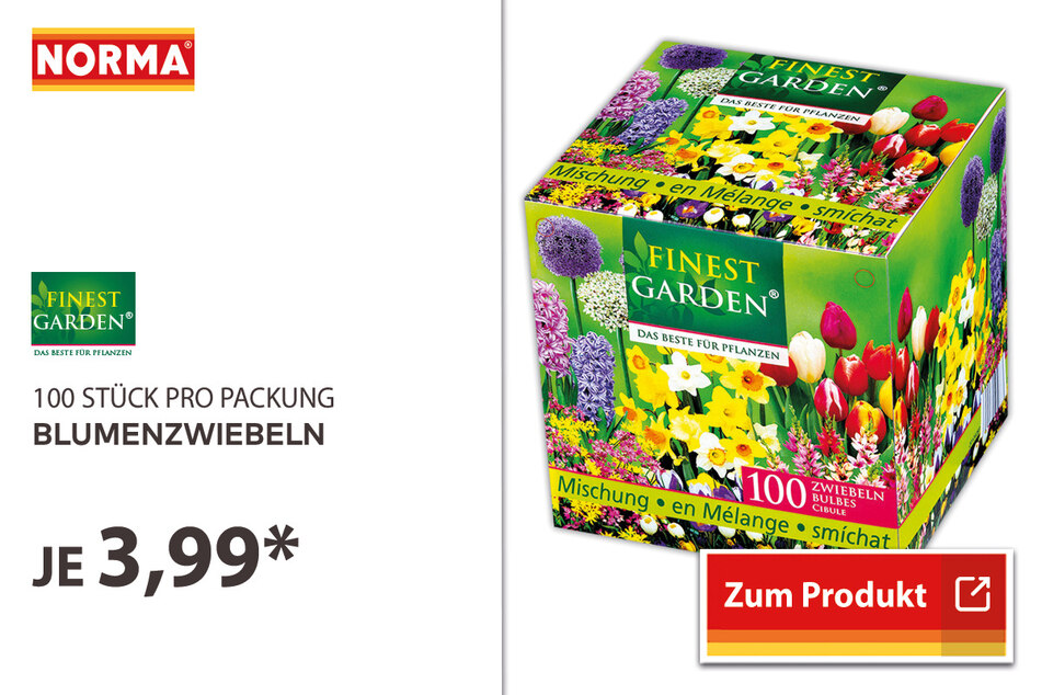 Blumenzwiebeln im 100er-Pack für nur 3,99 Euro