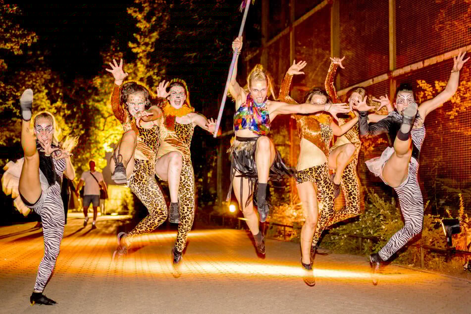 Stimmungsvolle Sommernacht im Zoo Magdeburg mit Tieren, Licht und Live-Musik.