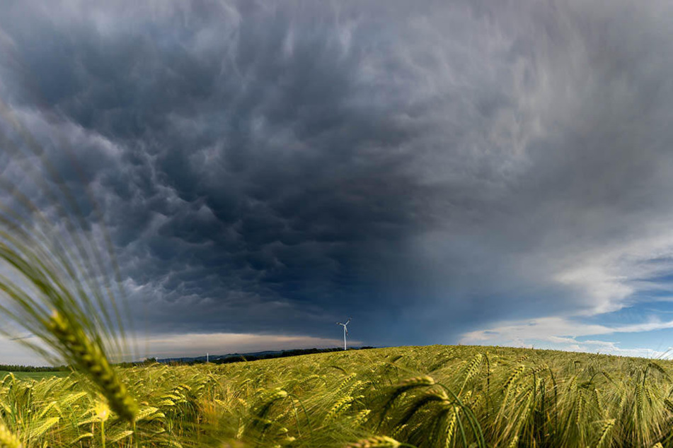Bis zum Wochenende gibt's erstmal eine Abkühlung: Gewitter und örtliche Unwetter kommen auf uns zu.