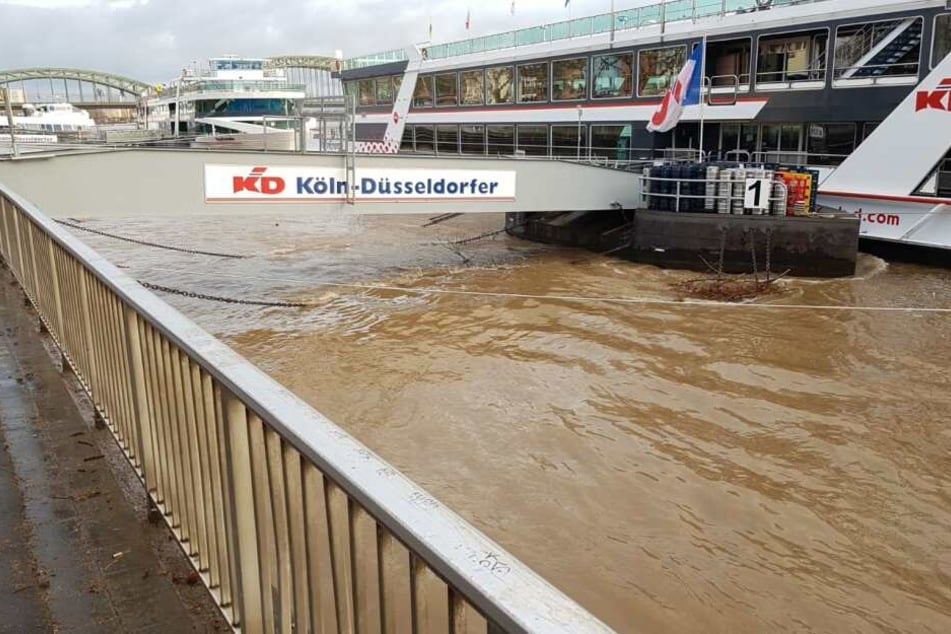 Das braune Wasser im Rhein in Köln.