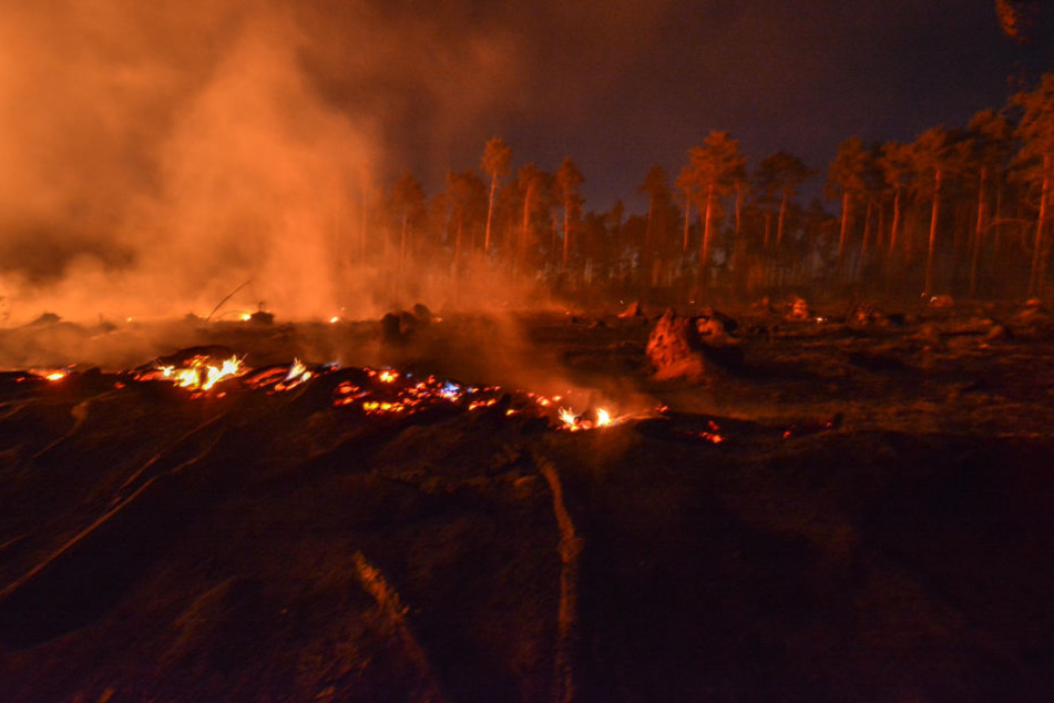 Der Feldbrand griff auf einen angrenzenden Wald über.