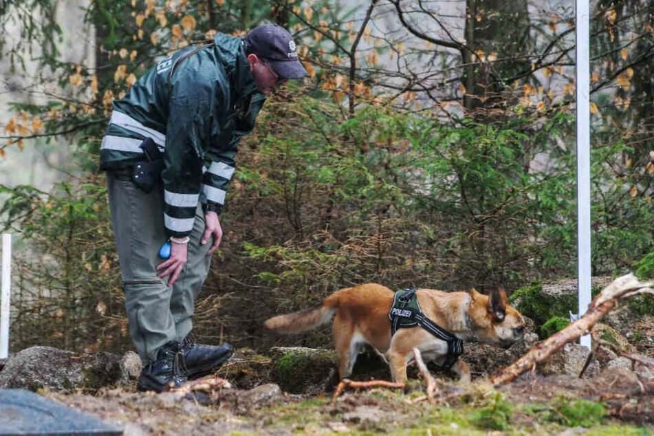 Ein Polizist lässt einen Polizeihund den möglichen Ablageort einer Mädchenleiche abgesuchen.