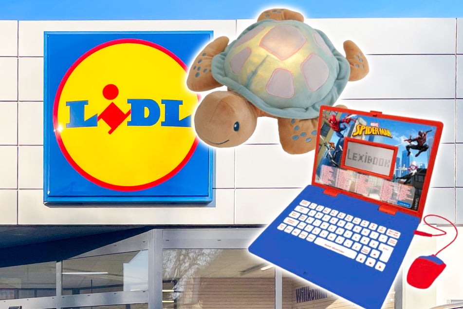 Clevere Spielzeuge sind ab Samstag (27.12.) bei Lidl richtig günstig