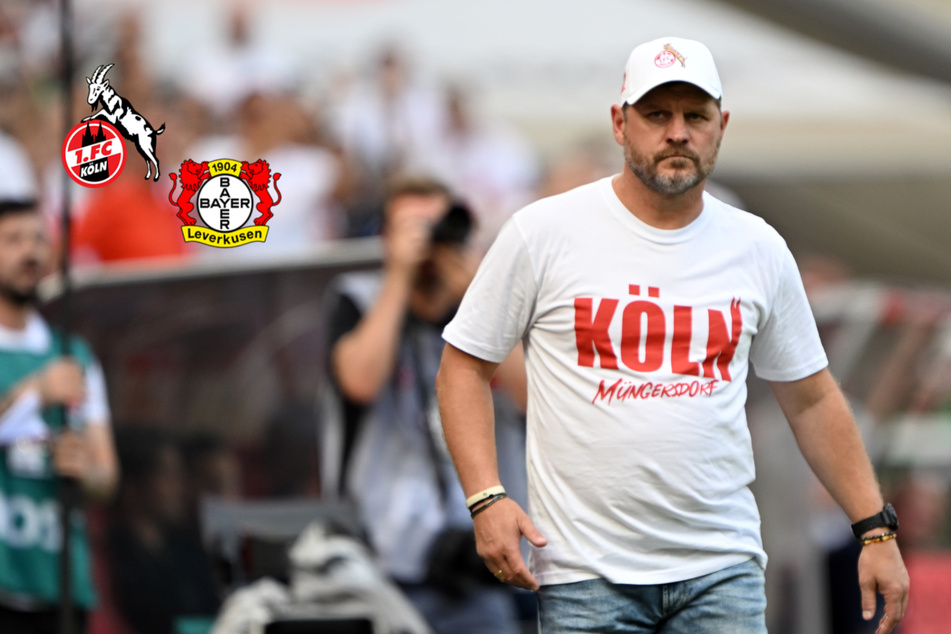 Giftpfeile fliegen! Köln-Coach Baumgart schießt gegen Bayer Leverkusen zurück