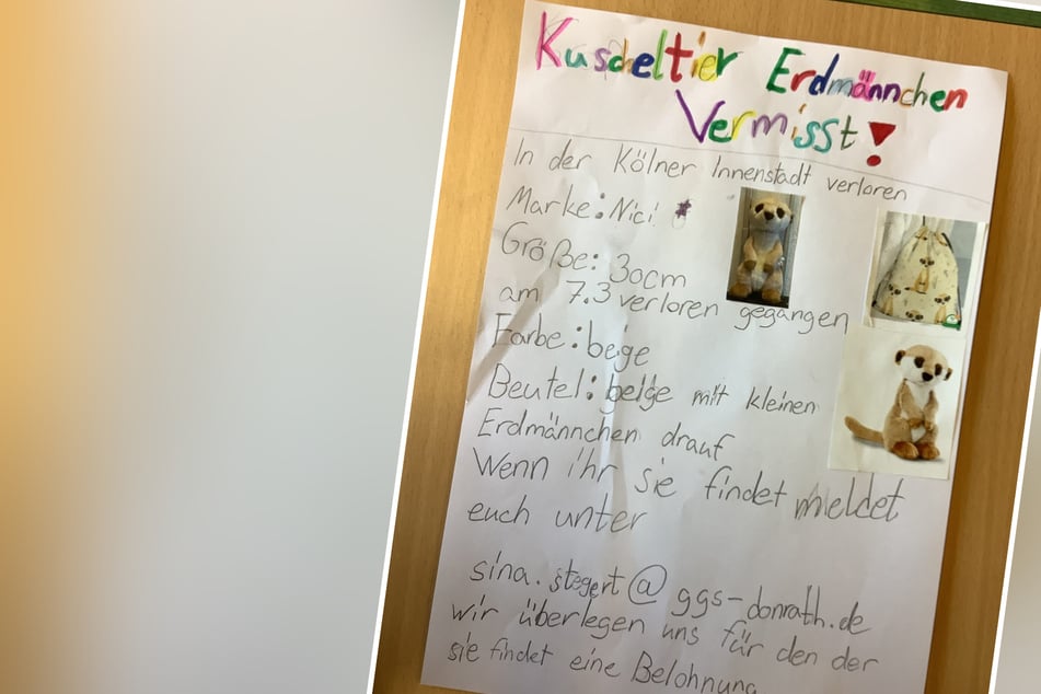 Köln: Mit Vermissten-Plakaten: Grundschüler suchen Kuscheltier