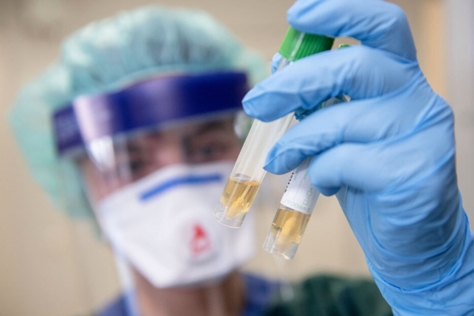 Eine Krankenschwester auf einer Essener Infektionsstation betrachtet in Schutzkleidung und mit einer Atemmaske zwei Abstrichröhrchen. In Sachsen ist noch kein Patient nachweislich an dem neuartigen Coronavirus erkrankt.