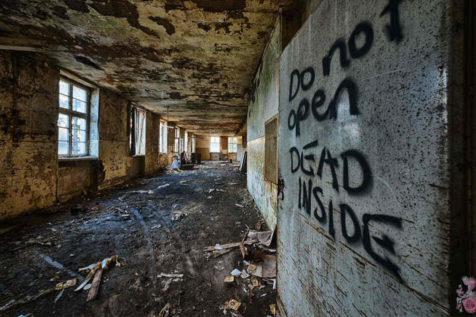 "Do not open. DEAD INSIDE" steht groß an der Wand. Ob da etwas Wahres hinter steckt?