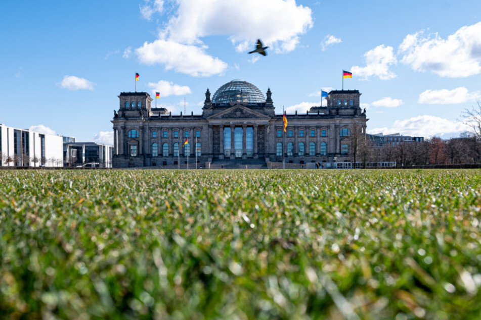Der Blick auf den Reichstag. Die Wiese ist fast menschenleer.