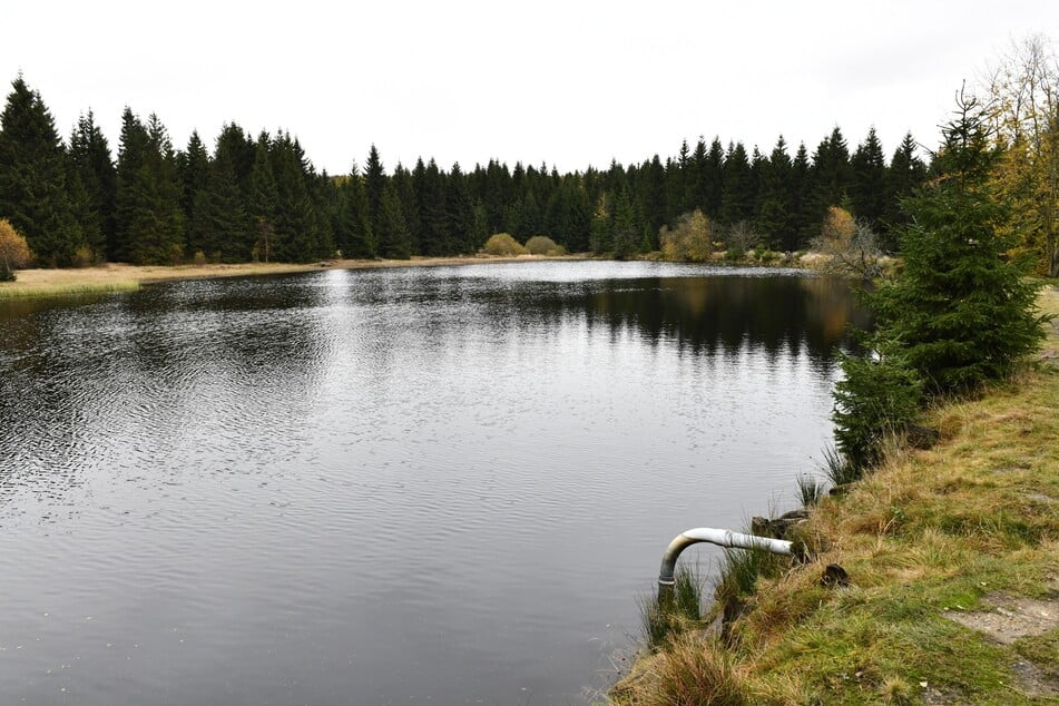 So sieht der Wüste Teich bei Altenberg für gewöhnlich aus.