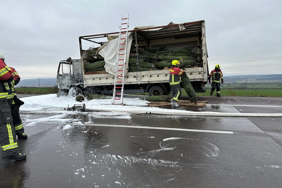 Der Lastwagen hatte Christbäume geladen.
