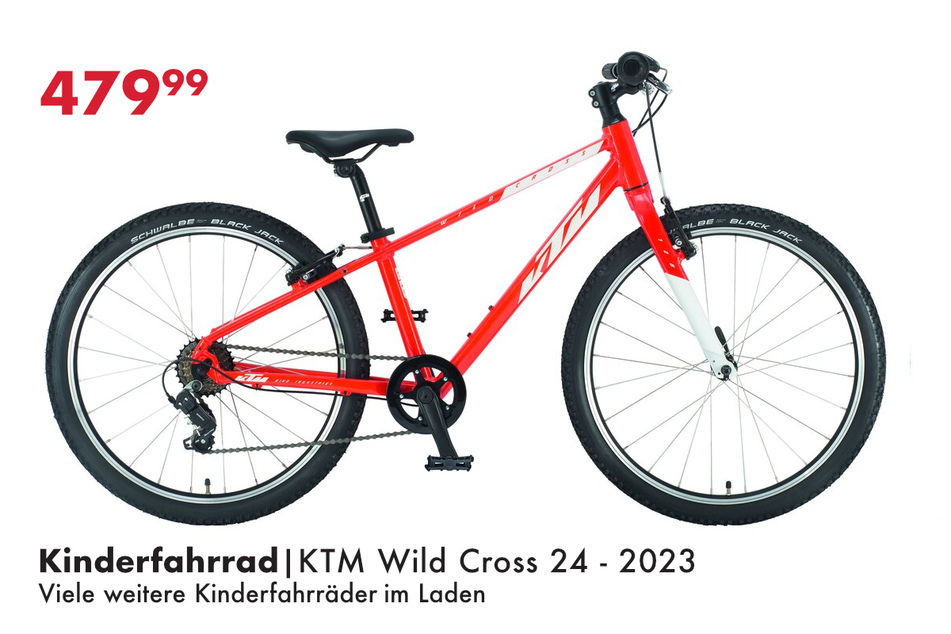 KTM Wild Cross 24