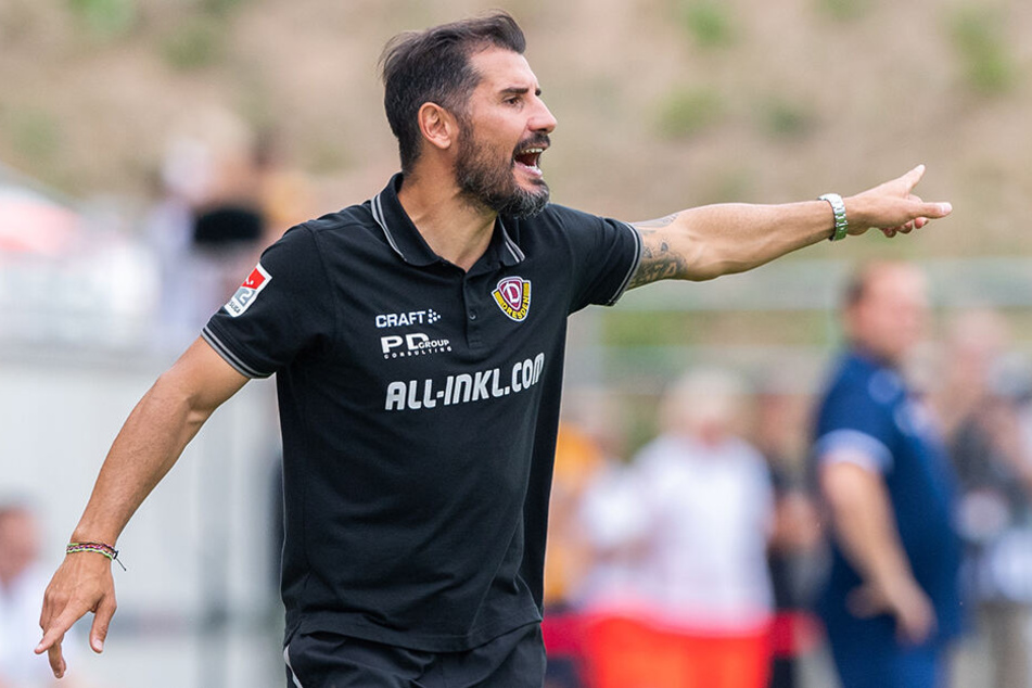 Trainer Cristian Fiel kann den Schweden am Mittwoch um 10 Uhr das erste Mal im Großen Garten zum Training begrüßen.