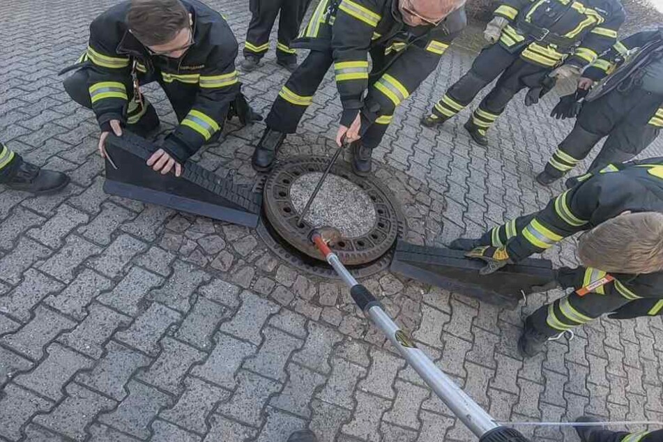 Die Retter packten mit vereinten Kräften an.