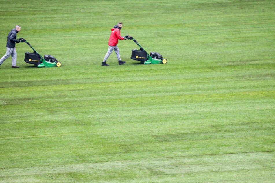 Greenkeeper von RB Leipzig mähen den frisch verlegten Rollrasen in der Red Bull Arena.