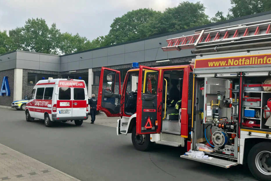 Nachdem Mitarbeiter eine Spinne in einem Bananenkarton bemerkt hatten, alarmierten sie die Feuerwehr.