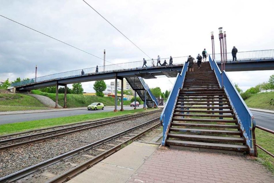 Am vergangenen Wochenende hatten die Zwickau noch einmal die Chance, über das
„Blaue Wunder“ zu laufen.