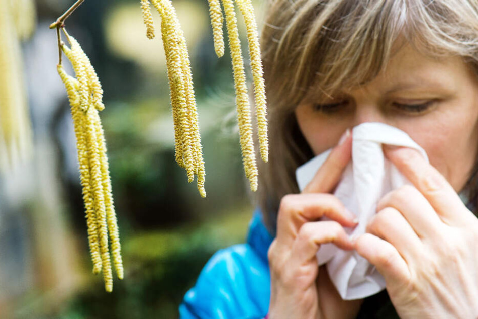 Ab zum Arzt! Unbehandelt kann sich eine Pollenallergie zu Asthma entwickeln. (Symbolbild)
