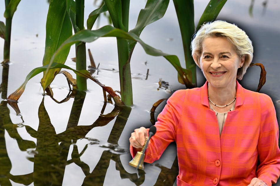 EU-Kommission will Emissionen drastisch senken