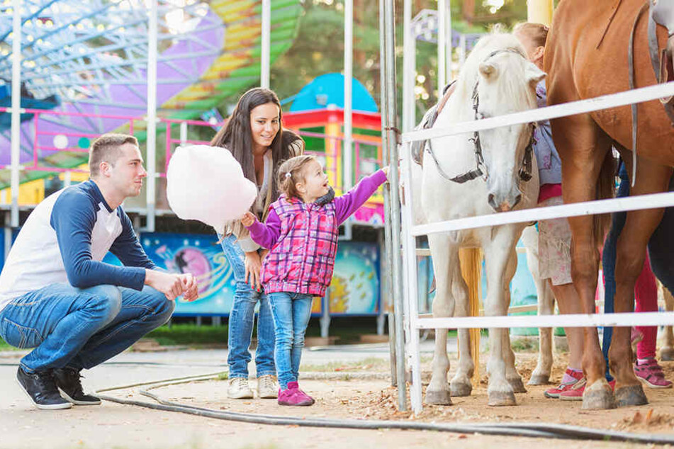 Ponyreitbahnen soll es auf Jahrmärkten in Gütersloh bald nicht mehr geben. (Symbolbild)
