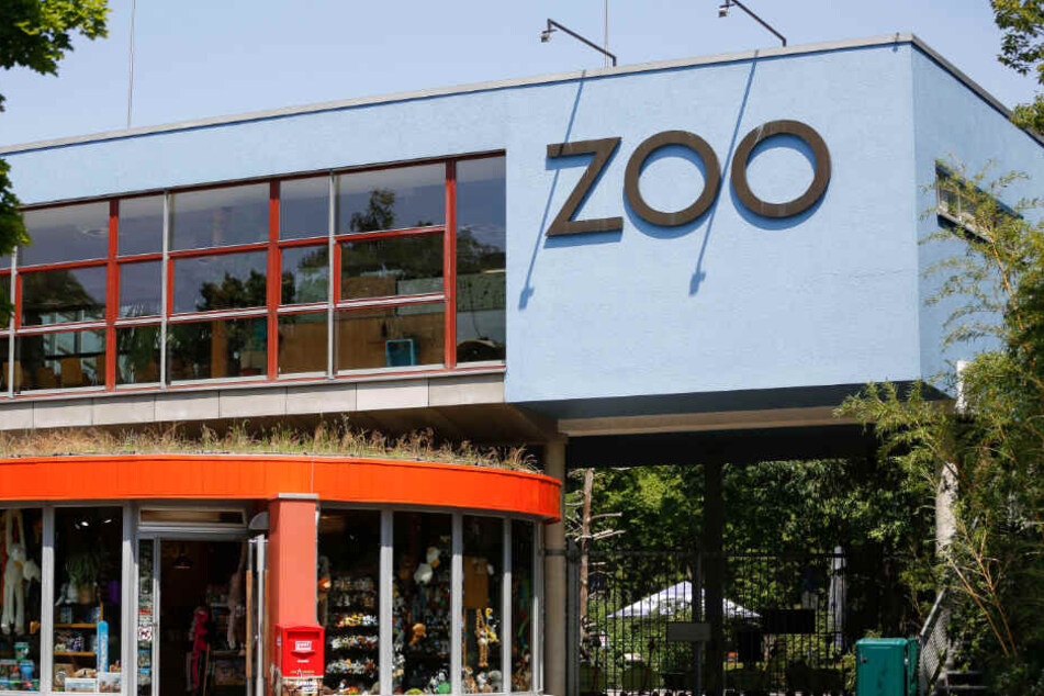 Über den Zaun des Zoos kletterte das kühne Trio.
