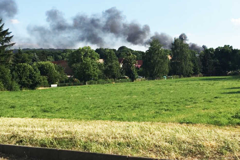 Über Dresden-Lockwitz stieg am Dienstagnachmittag eine Dutzende Meter hohe Rauchsäule auf.