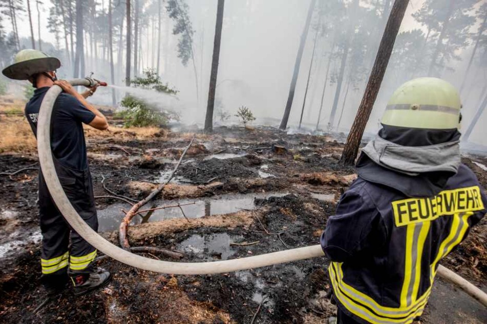 Die Waldbrandgefahr im Raum Berlin-Brandenburg steigt immer weiter an (Symbolbild).