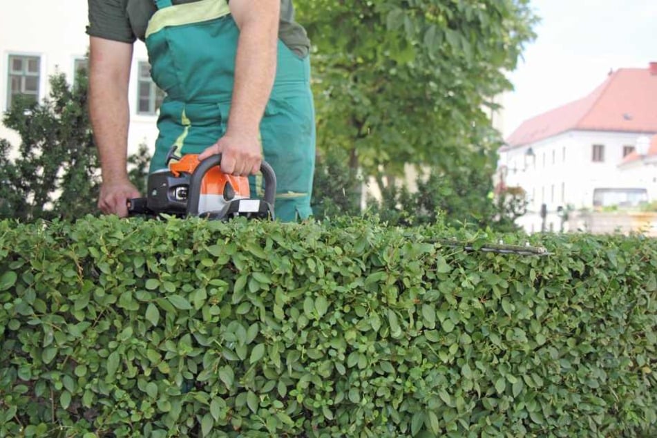 Grünschnitt und Winterdienst sollten privatisiert, 36 Hausmeister ausgemustert werden.