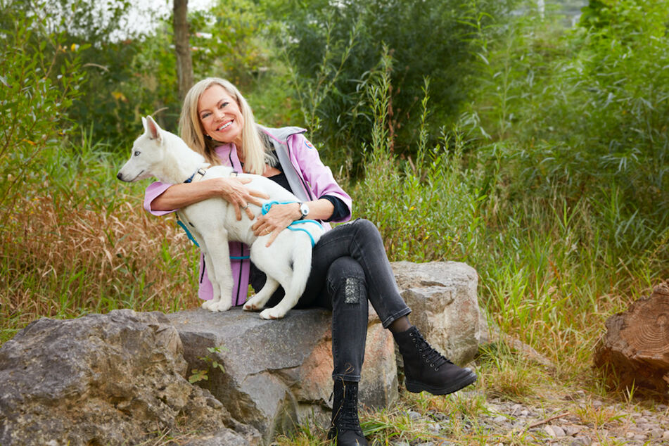 Nina Ruge engagiert sich seit Jahren für den Tierschutz.