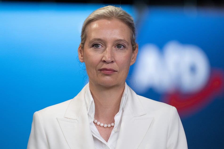 Alice Weidel (47) ist mit dem AfD-Wahlprogramm in Sachsen-Anhalt nicht vollends einverstanden.