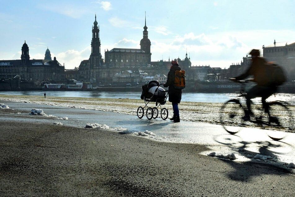 Abgesehen vom Elberadweg sehen die Dresdner beim Radwegenetz großen Verbesserungsbedarf.