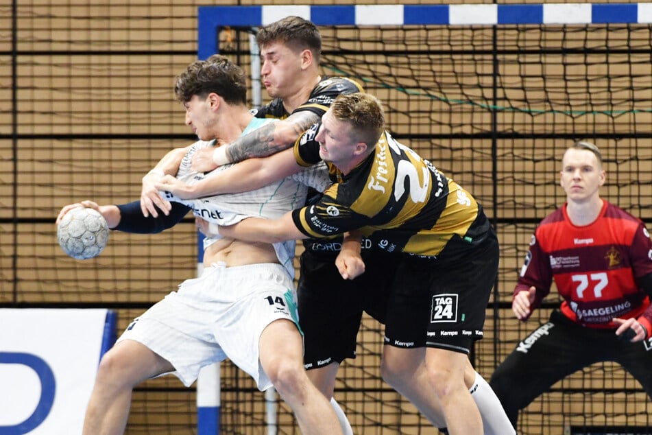 Die Saison geht weiter: HC Elbflorenz gegen TuS N-Lübbecke am Samstag (4.10.).