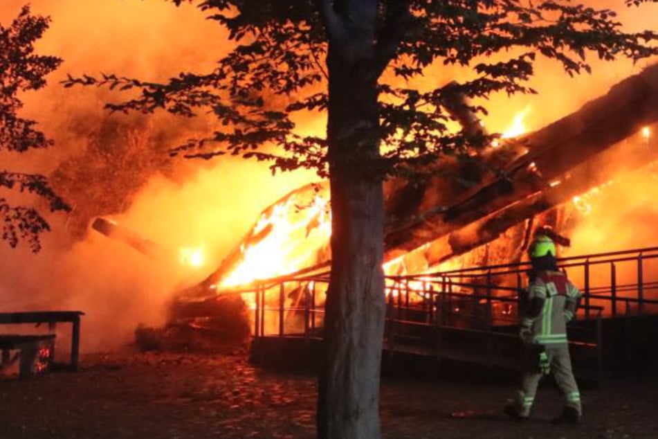 Berlin: Großbrand im Britzer Garten: Riesiges Labor eingestürzt!