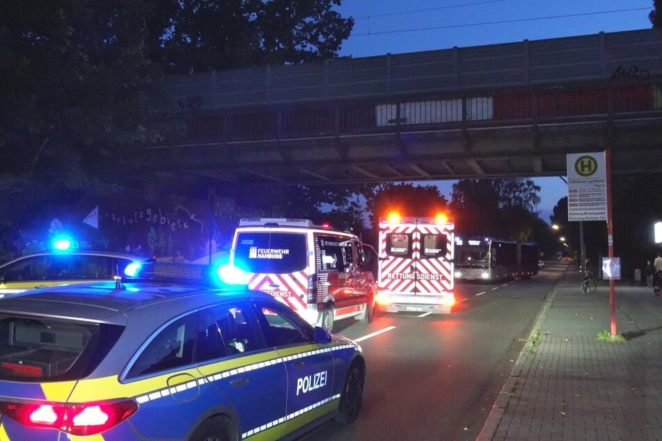 Am S-Bahnhof Mittlerer Landweg in Hamburg stürzte am Freitag ein Mann von einer Brücke auf die Straße.