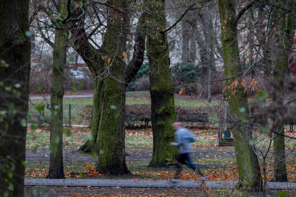 Der Überfall fand im Berliner Bezirk Pankow statt, dort befindet sich auch der hier gezeigte Bürgerpark. (Symbolbild)