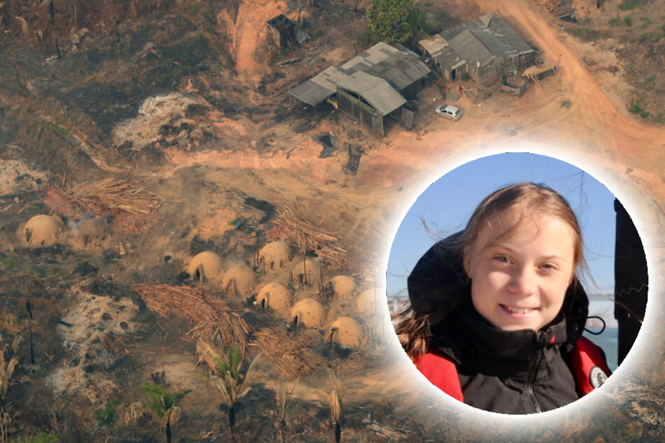 Greta Thunberg und Greenpeace teilen erschütternde Bilder