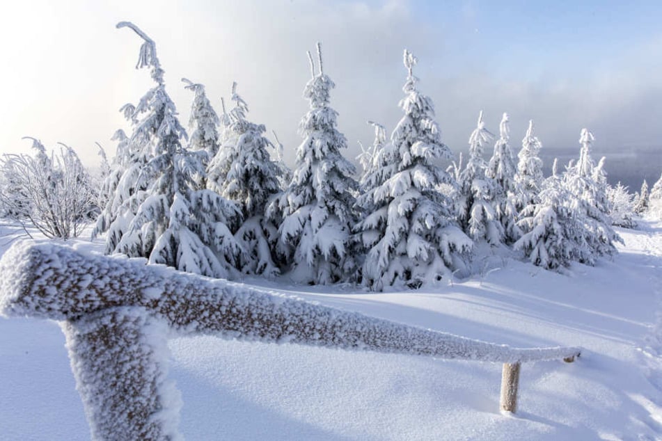 Am Fichtelberg herrschen ideale Skibedingungen.