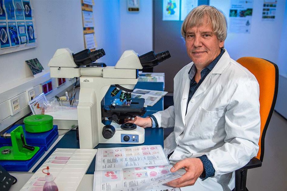 Umweltmediziner Dr. Mario Hopf (59) wertet die Pollenproben am Mikroskop aus.