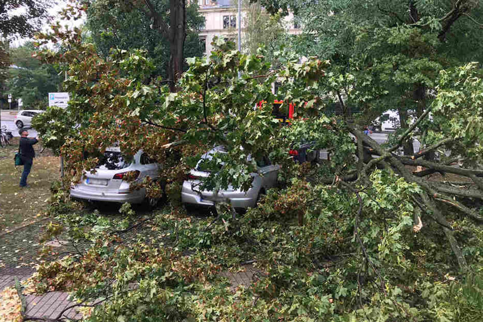 Mehrere Autos gerieten in Mitleidenschaft.