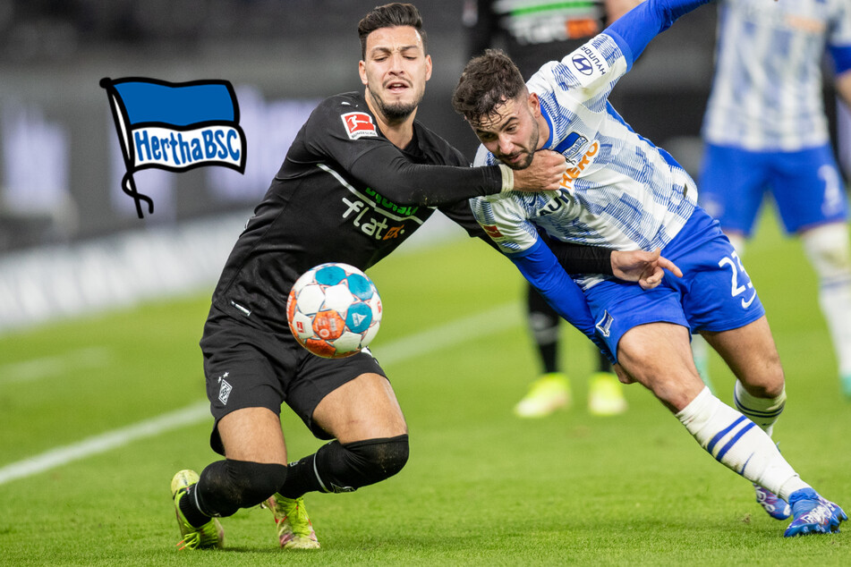 "Oh wie ist das schön": Hertha spielt endlich wieder Dardai-Fußball