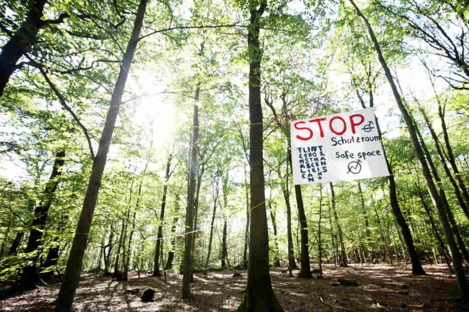 Ein Plakat im Wald.