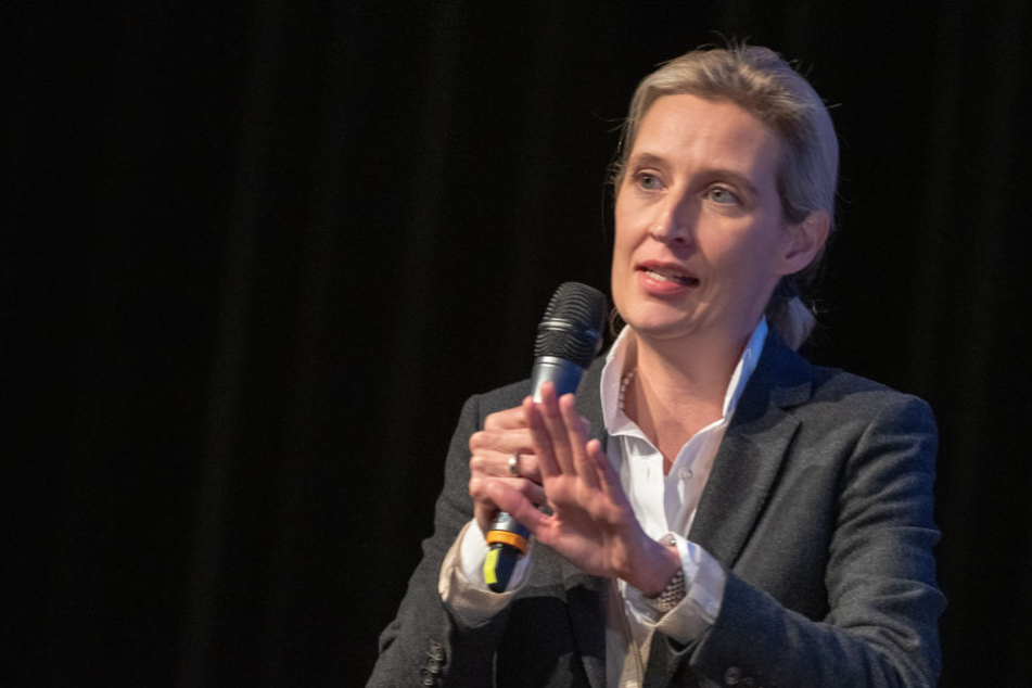 Alice Weidel (AfD): "Kramp-Karrenbauer bedeutet: Weiter so!"