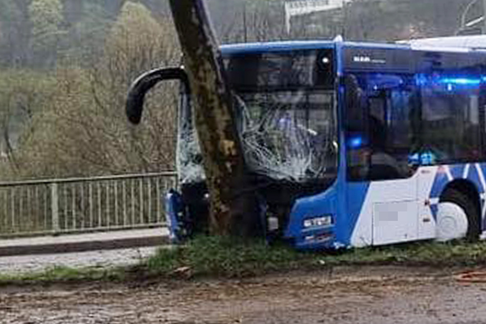 Bus mit 35 Kindern an Bord knallt gegen Baum: Schwer- und Leichtverletzte!